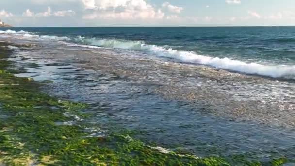 岩の多いビーチの質感 — ストック動画