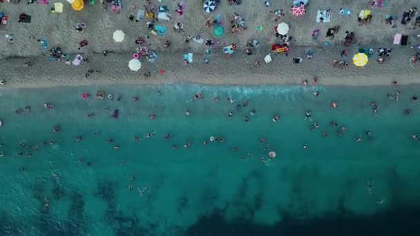 알레냐 바다의 — 비디오