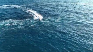 Spor teknesi denizde hızlı gider.