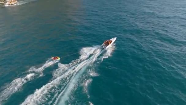 Deportes Barco Navega Rápido Mar — Vídeo de stock
