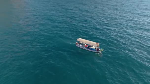 在近岸海域捕鱼用小船打猎 — 图库视频影像
