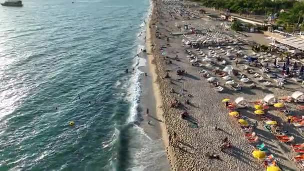 클레오파트라 해변의 — 비디오