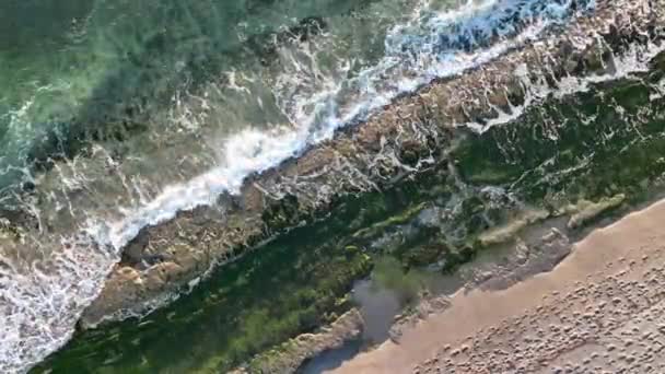 Textur Den Steniga Stranden — Stockvideo