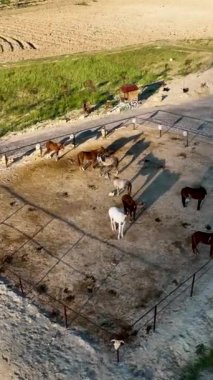 Kapadokya 'da ata binmek