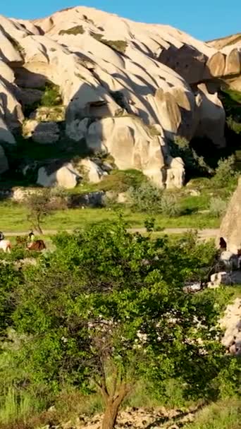 Menunggang Kuda Kapadokia — Stok Video