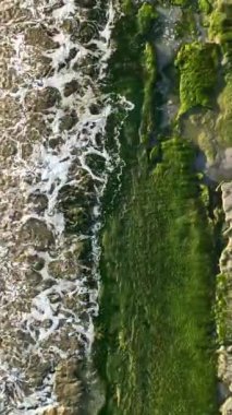 Hava Görünümü Dikey Videosu