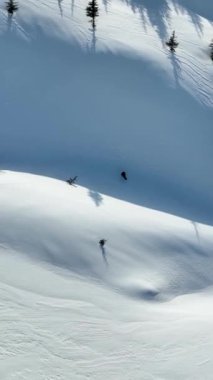Dağlardan bir snowboardcu indi.