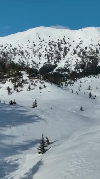 Paisaje Invernal Las Montañas — Vídeos de Stock