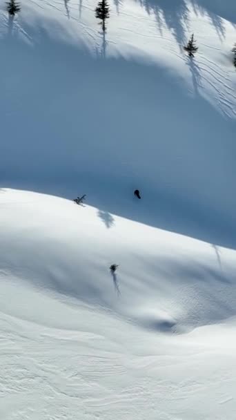 一个滑雪者从山上下来 — 图库视频影像