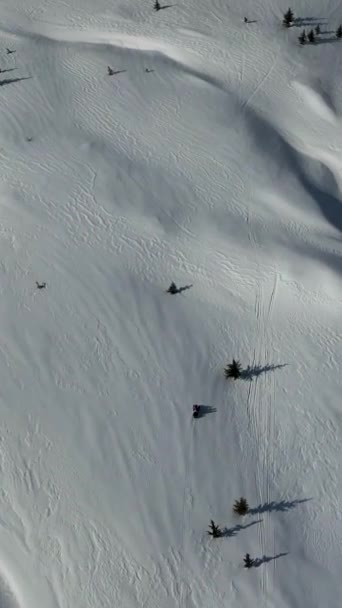 Snowmobile Wysoko Górach — Wideo stockowe