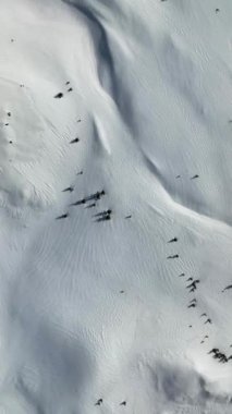 Dağlardan bir snowboardcu indi.