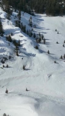 Dağlardan bir snowboardcu indi.