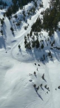 Dağlardan bir snowboardcu indi.