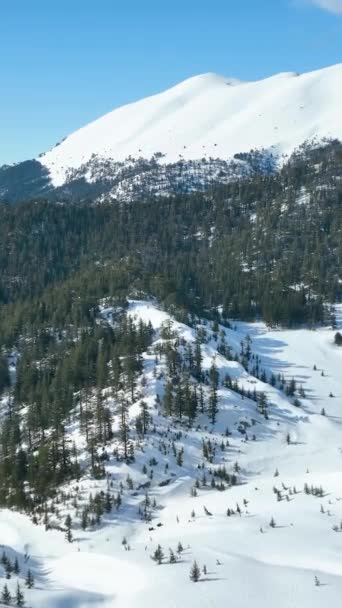 Een Snowboarder Daalt Uit Bergen — Stockvideo