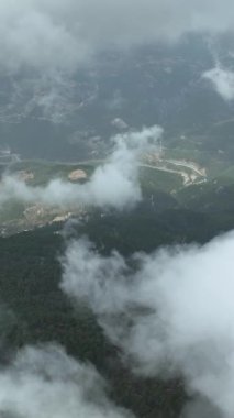 Sisli ormanda ağaçlar arasında sisli bir orman uçuyor.