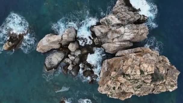 良い品質の背景 青い海 海辺の休暇 — ストック動画