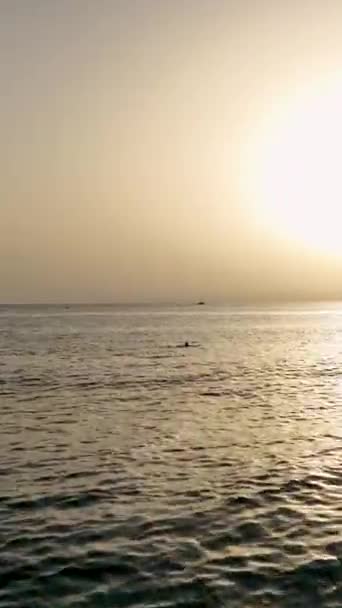 Juicy Sea Sunset Flying Sun — Stock Video