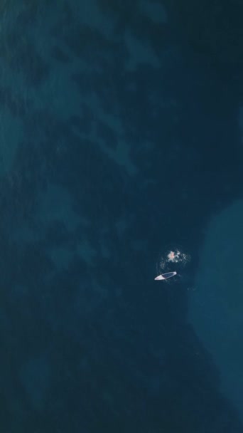 Denizde Aktif Tatiller Suyun Derin Rengi — Stok video