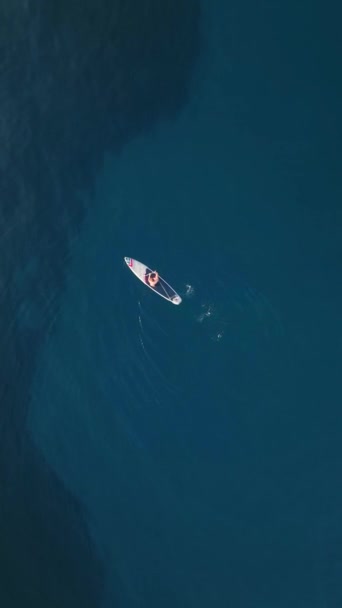 바다에서의 활동적 — 비디오