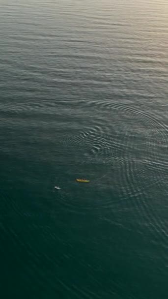 水上飞机是高速行驶的 — 图库视频影像