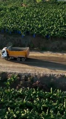 Makine, toprağı obje inşa kavramına taşır.