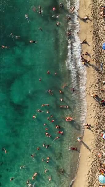 Gente Nada Mar Mediterráneo Ambiente Veraniego — Vídeos de Stock