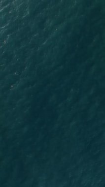 Türkiye 'de yaz tatili kavramı ve tatil