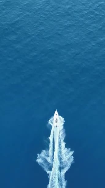 蓝海海事概念航观中的汽艇 — 图库视频影像
