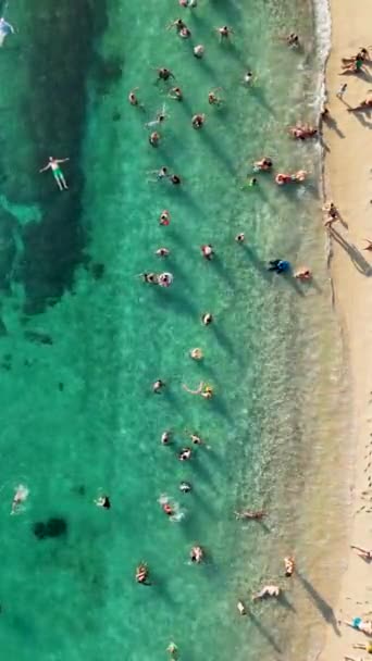 People Swim Mediterranean Sea Summer Vibe — Stock Video