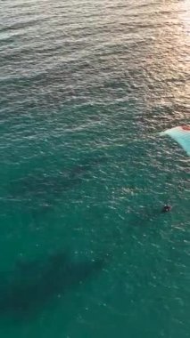 Yamaç paraşütleri denizin üzerinde uçar