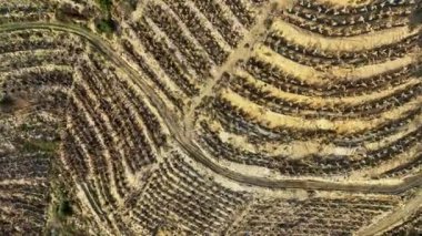 Çiftlik Arkaplanı Hava Görünümü Bulutlu