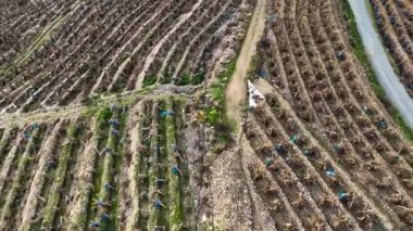 Çiftlik Arkaplanı Hava Görünümü Bulutlu