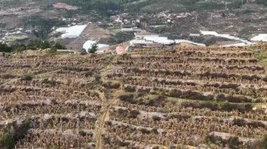 Çiftlik Arkaplanı Hava Görünümü Bulutlu