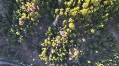 En güzel Kanyon Sapadere 'de harika bir yer