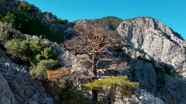 Fantastisk Plats Mest Vackra Canyon Sapadere — Stockvideo