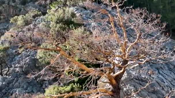 在最美丽的萨帕德雷峡谷的一个很棒的地方 — 图库视频影像