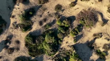 Türkiye Yakası harika antik şehir arkaplanı