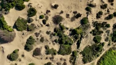 Türkiye Yakası harika antik şehir arkaplanı