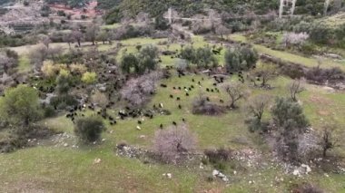 Turkey Alanya Farm region awesome background view