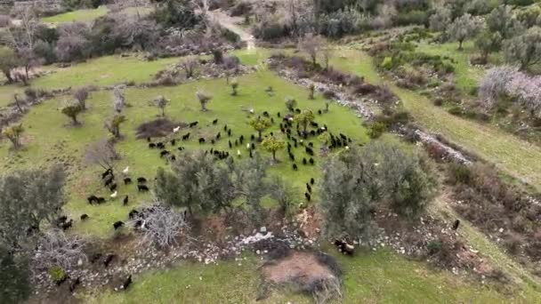 Turkey Alanya Farm Region Awesome Background View — 비디오