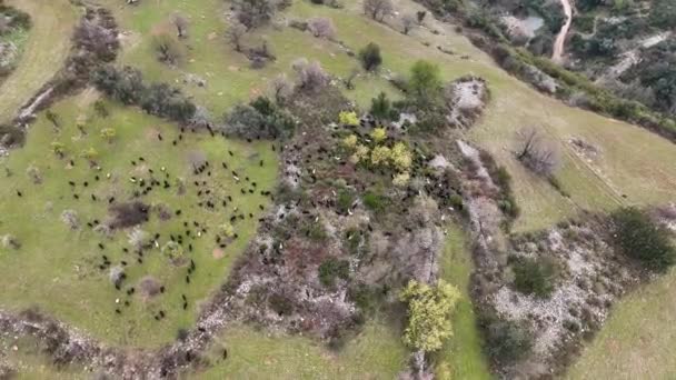 Turkey Alanya Farm Region Awesome Background View — Stok Video