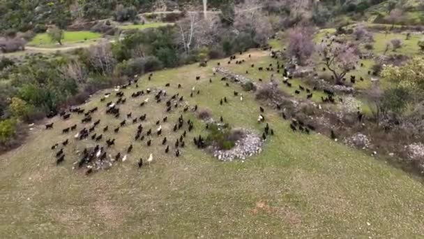 Turkey Alanya Farm Region Awesome Background View — 비디오