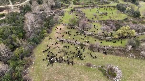 Turkiet Alanya Farm Region Fantastisk Bakgrundsbild — Stockvideo