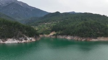 Mountain river awesome view green forest