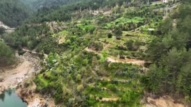 Mountain river awesome view green forest