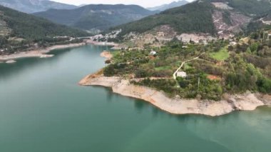 Mountain river awesome view green forest