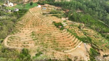 Mountain river awesome view green forest