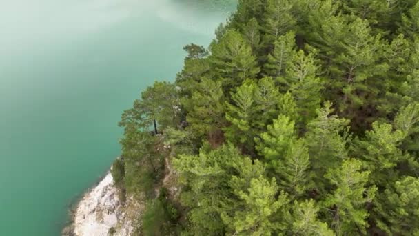 Mountain River Τρομερή Θέα Πράσινο Δάσος — Αρχείο Βίντεο