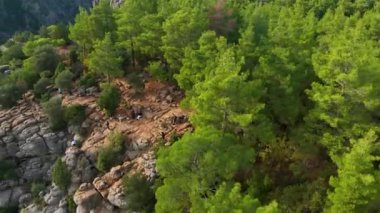Tourist woman hiker on cliff against backdrop of gorge. Amazing Tazi Canyon, Turkey. Greyhound Canyon aerial view