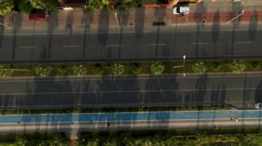 Palmiye ağaçları ve mavi gökyüzü Türkiye 4K